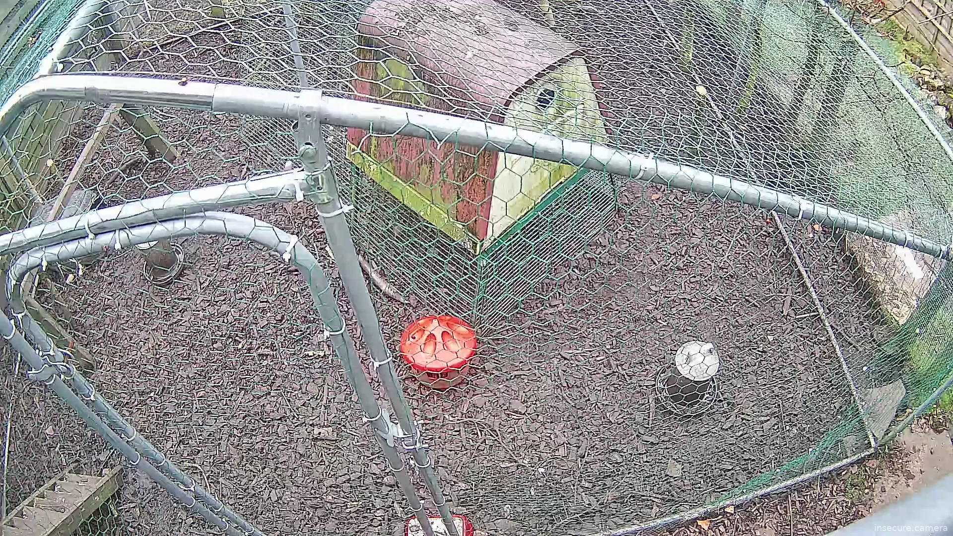 Camera in United Kingdom