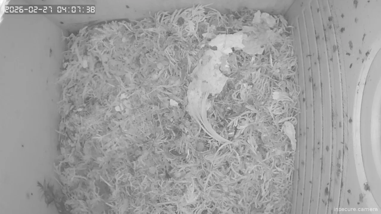 Capture from Feb 27, 2026 at 03:07 AM