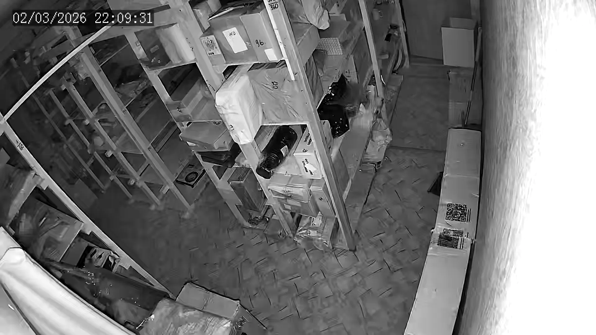 Capture from Mar 02, 2026 at 02:09 PM