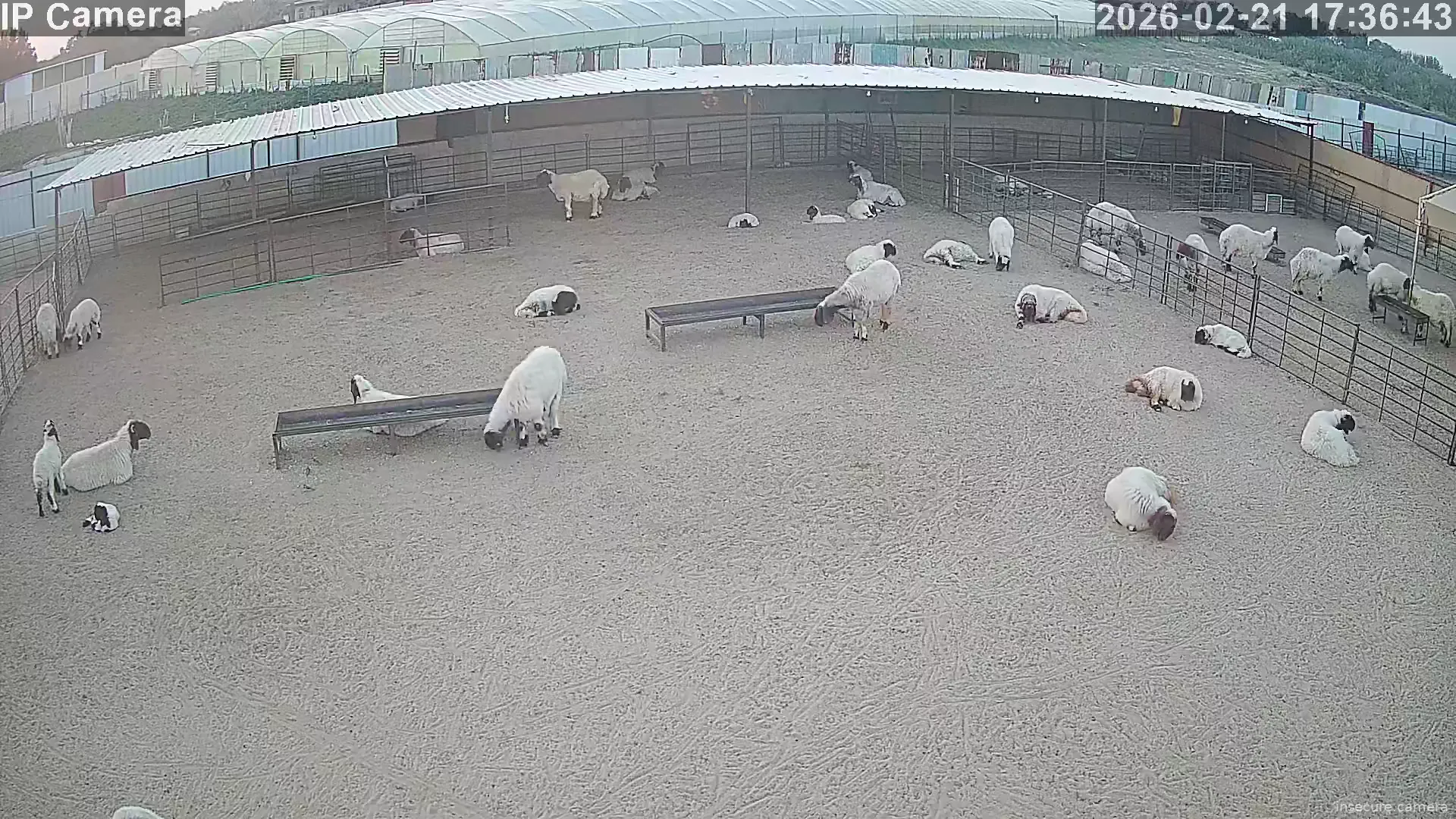 Capture from Feb 21, 2026 at 02:37 PM