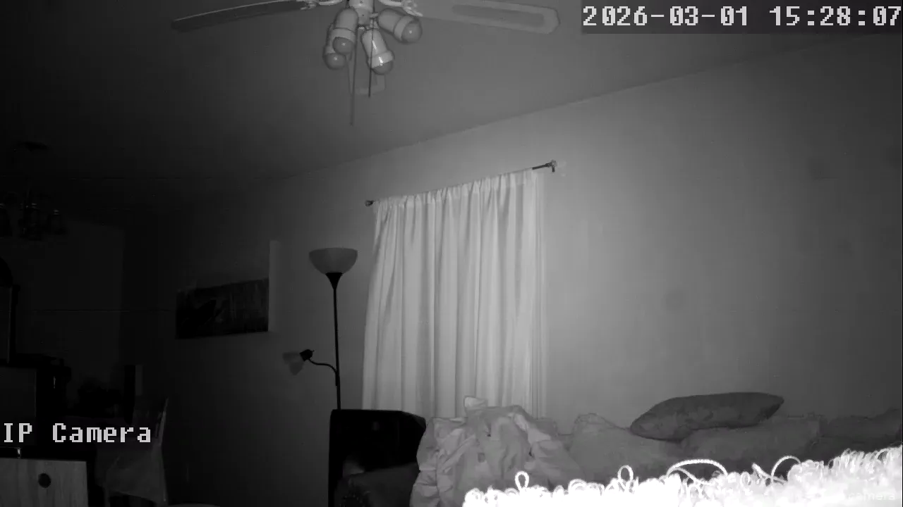 Capture from Mar 01, 2026 at 07:28 AM