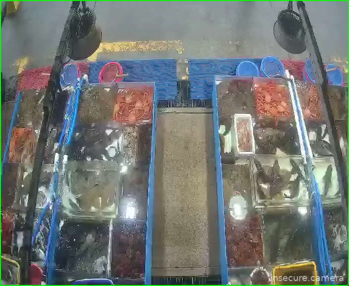 Capture from Mar 01, 2026 at 03:18 AM