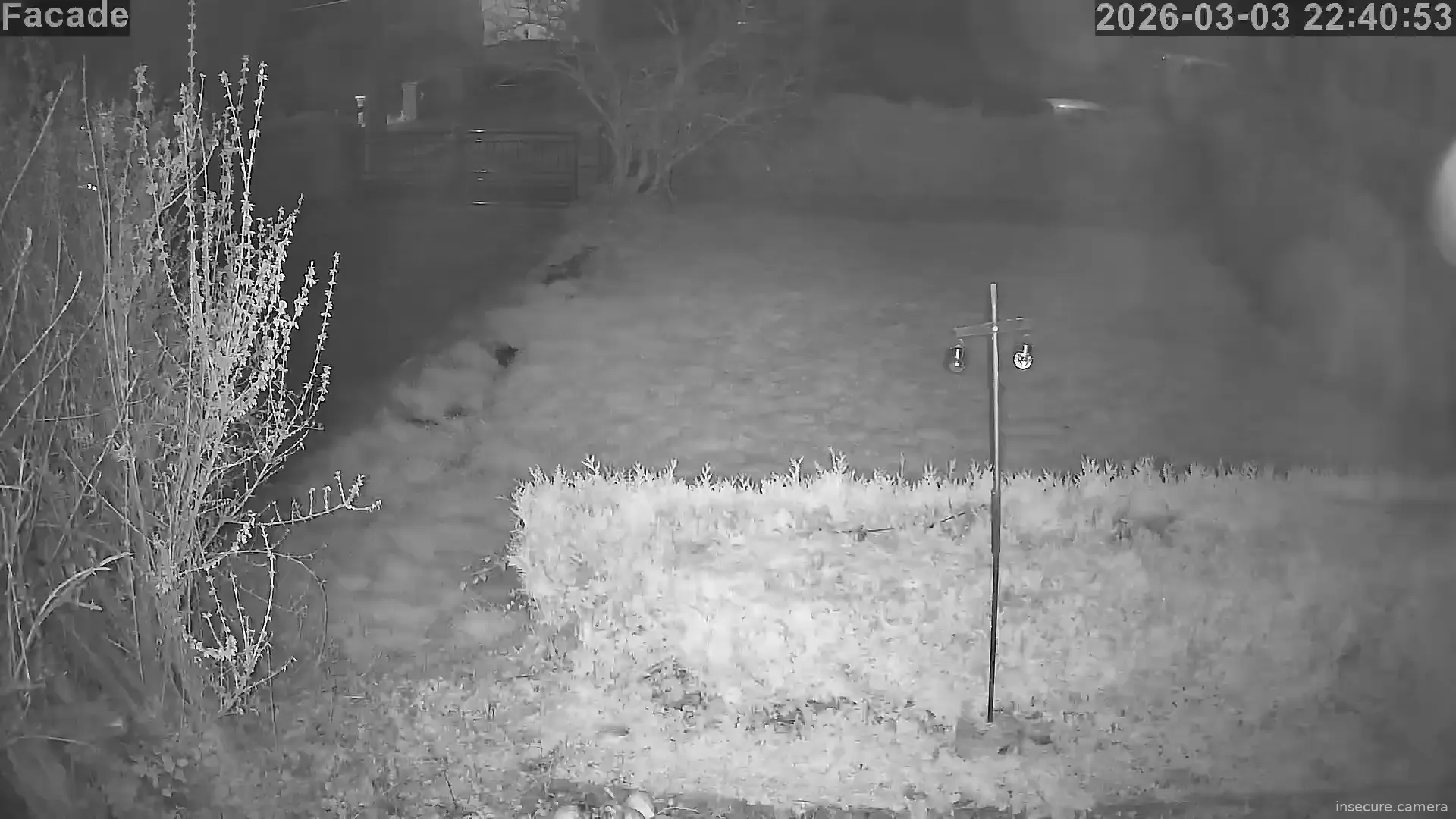 Capture from Mar 03, 2026 at 09:41 PM