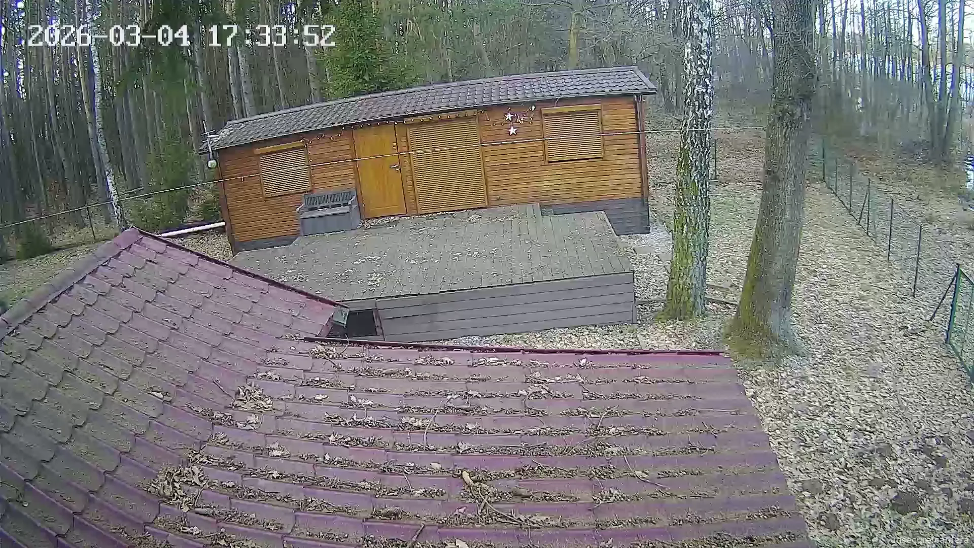 Capture from Mar 04, 2026 at 03:34 PM