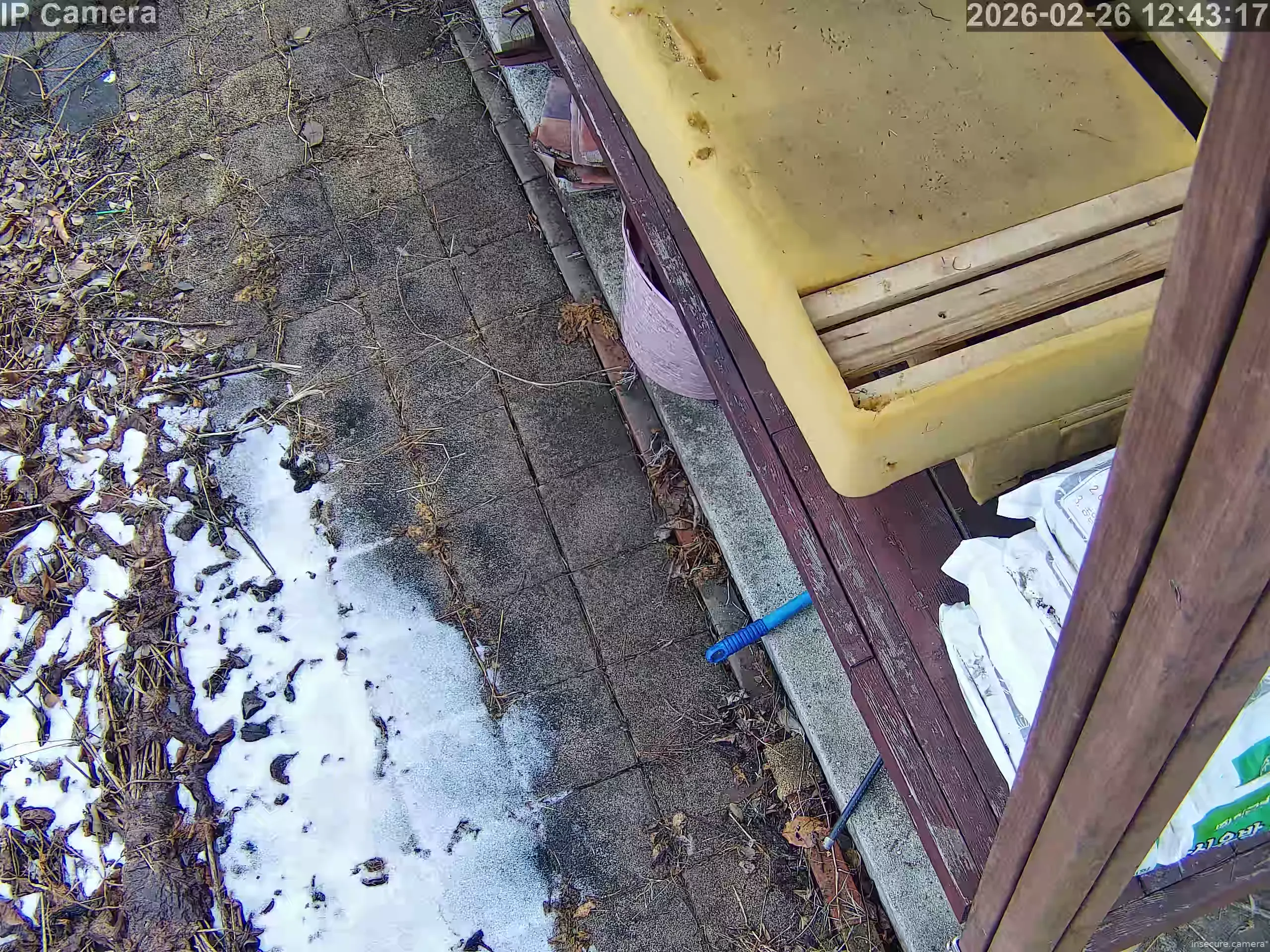 Camera in South Korea