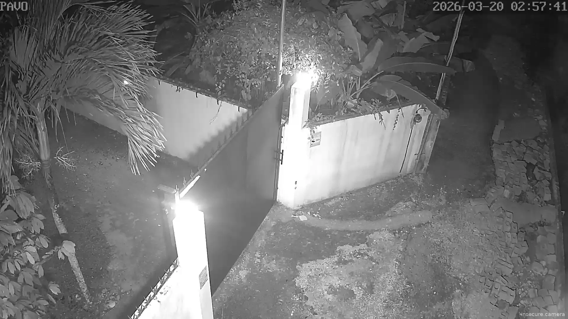 Camera in Dominican Republic