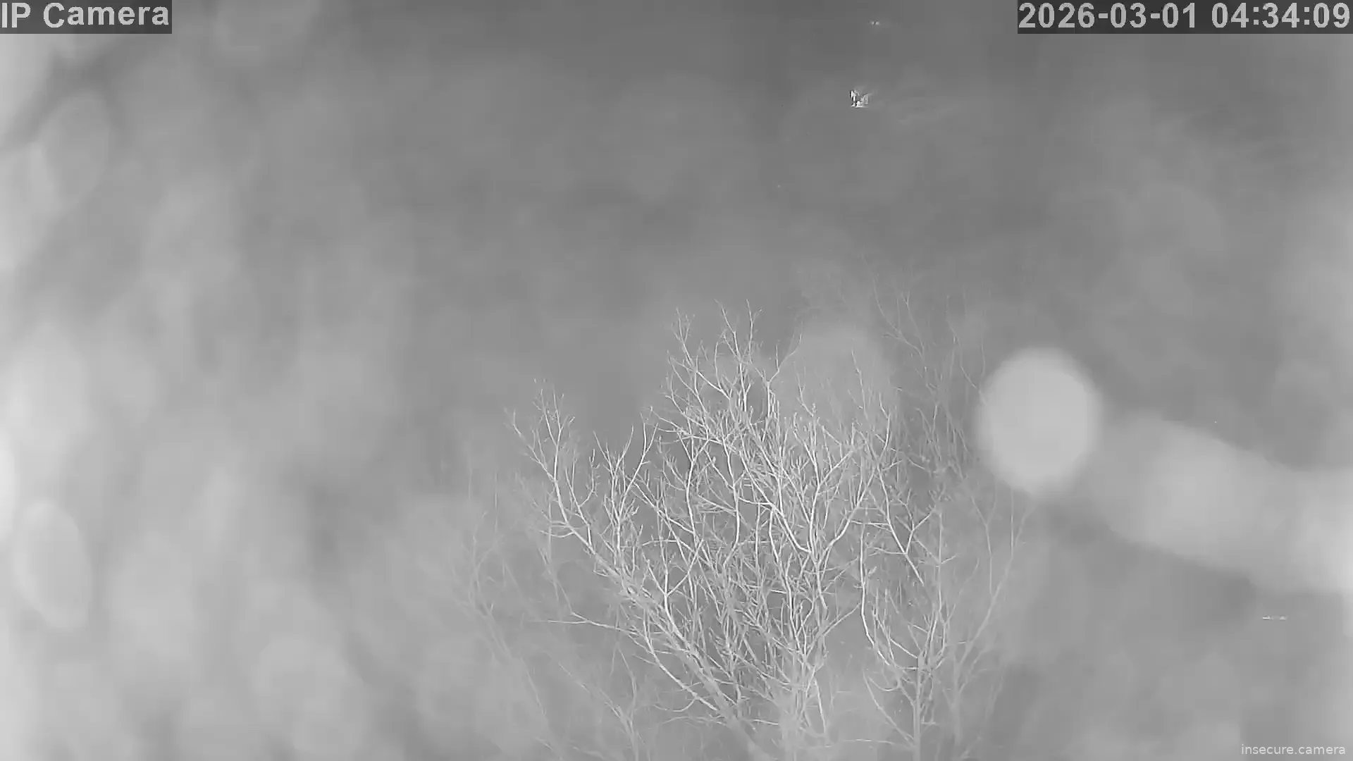 Capture from Mar 01, 2026 at 02:34 AM