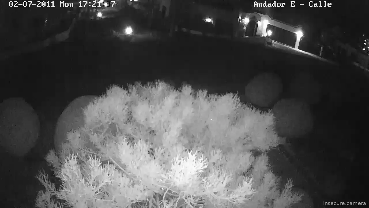 Capture from Feb 19, 2026 at 08:37 AM