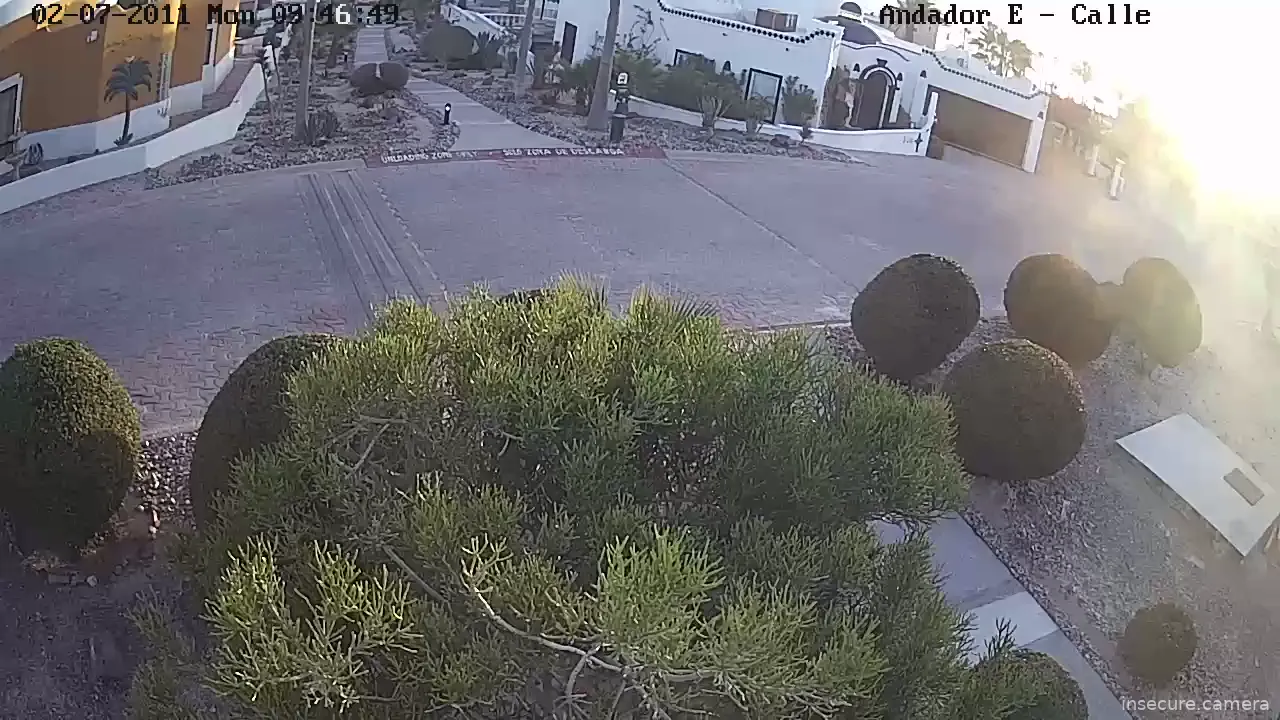 Capture from Feb 19, 2026 at 01:03 AM