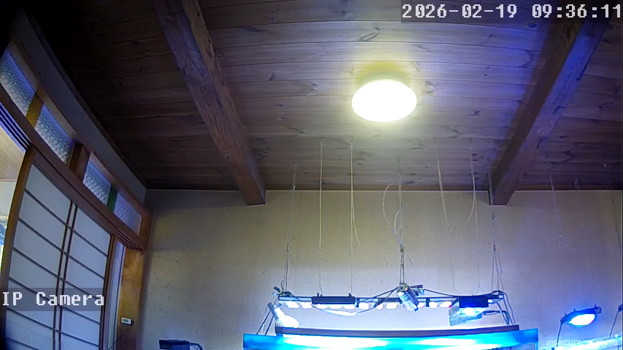 Capture from Feb 19, 2026 at 12:36 AM