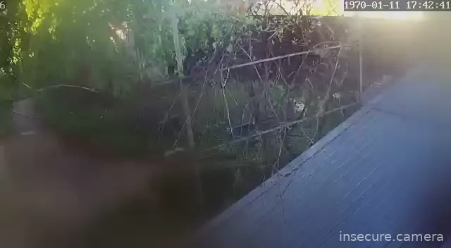 Camera in Russia