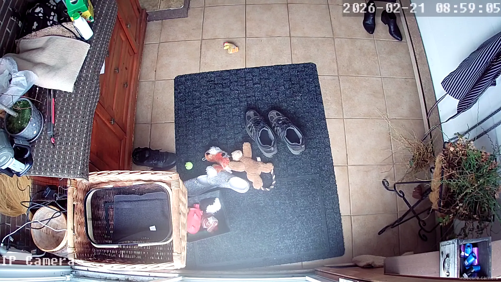 Capture from Feb 21, 2026 at 01:59 PM