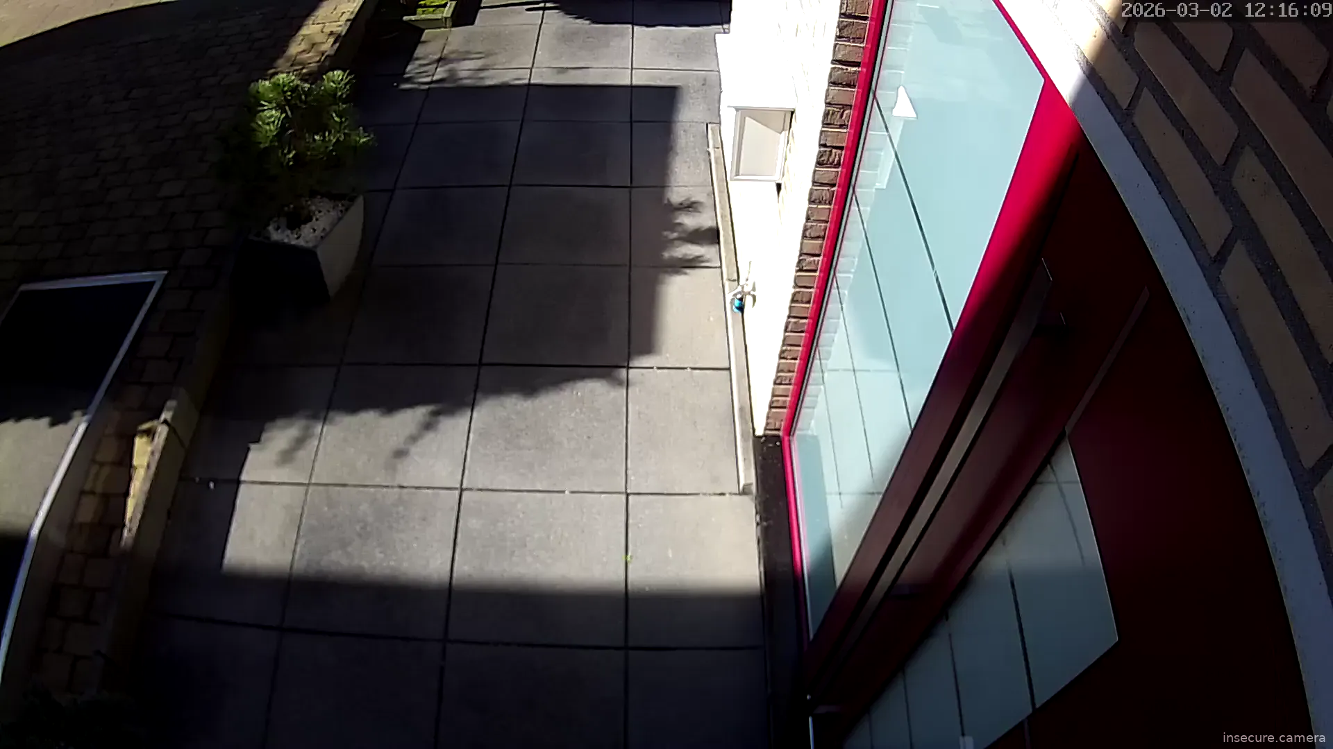 Camera in Netherlands