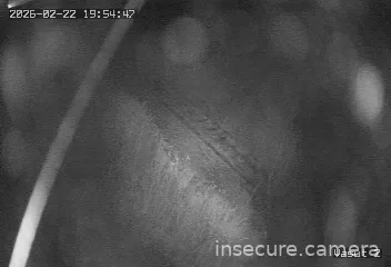 Capture from Feb 22, 2026 at 06:55 PM