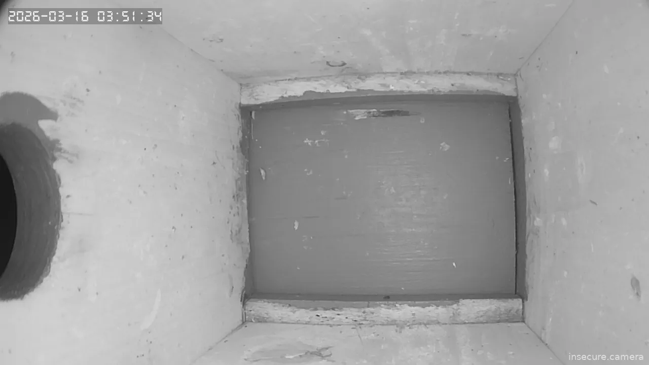 Capture from Mar 16, 2026 at 01:51 AM