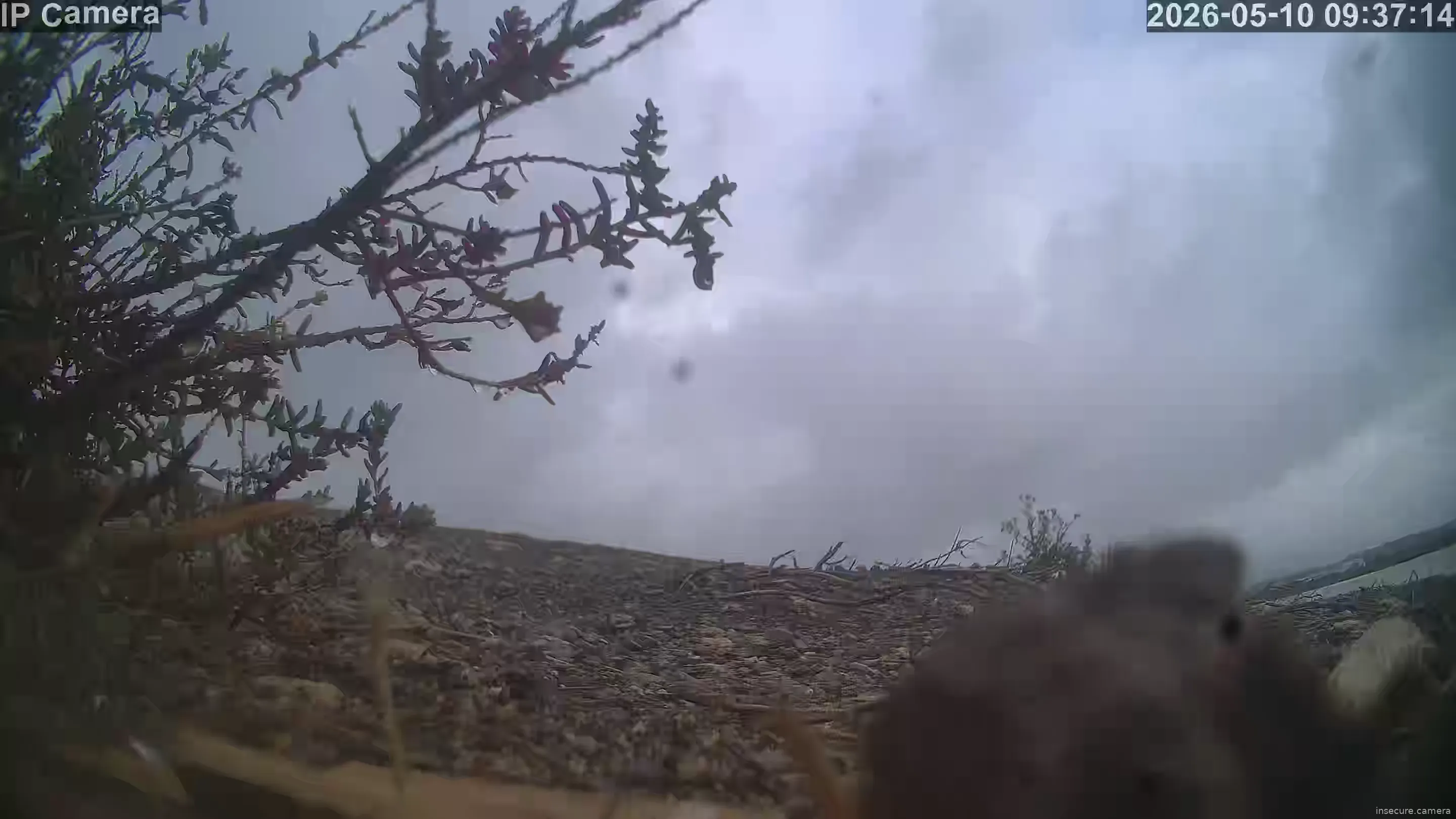 Camera in Spain