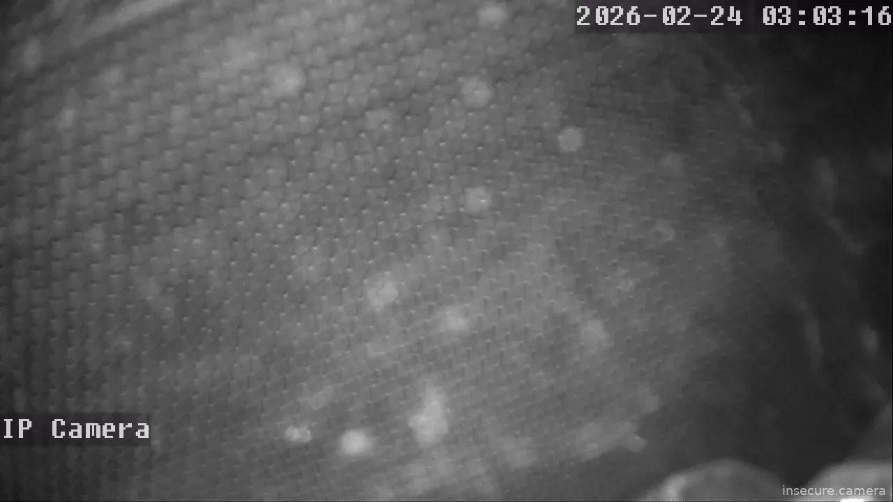 Capture from Feb 24, 2026 at 08:03 AM