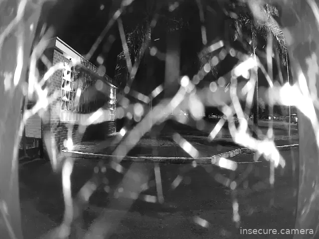 Capture from Feb 19, 2026 at 12:53 AM