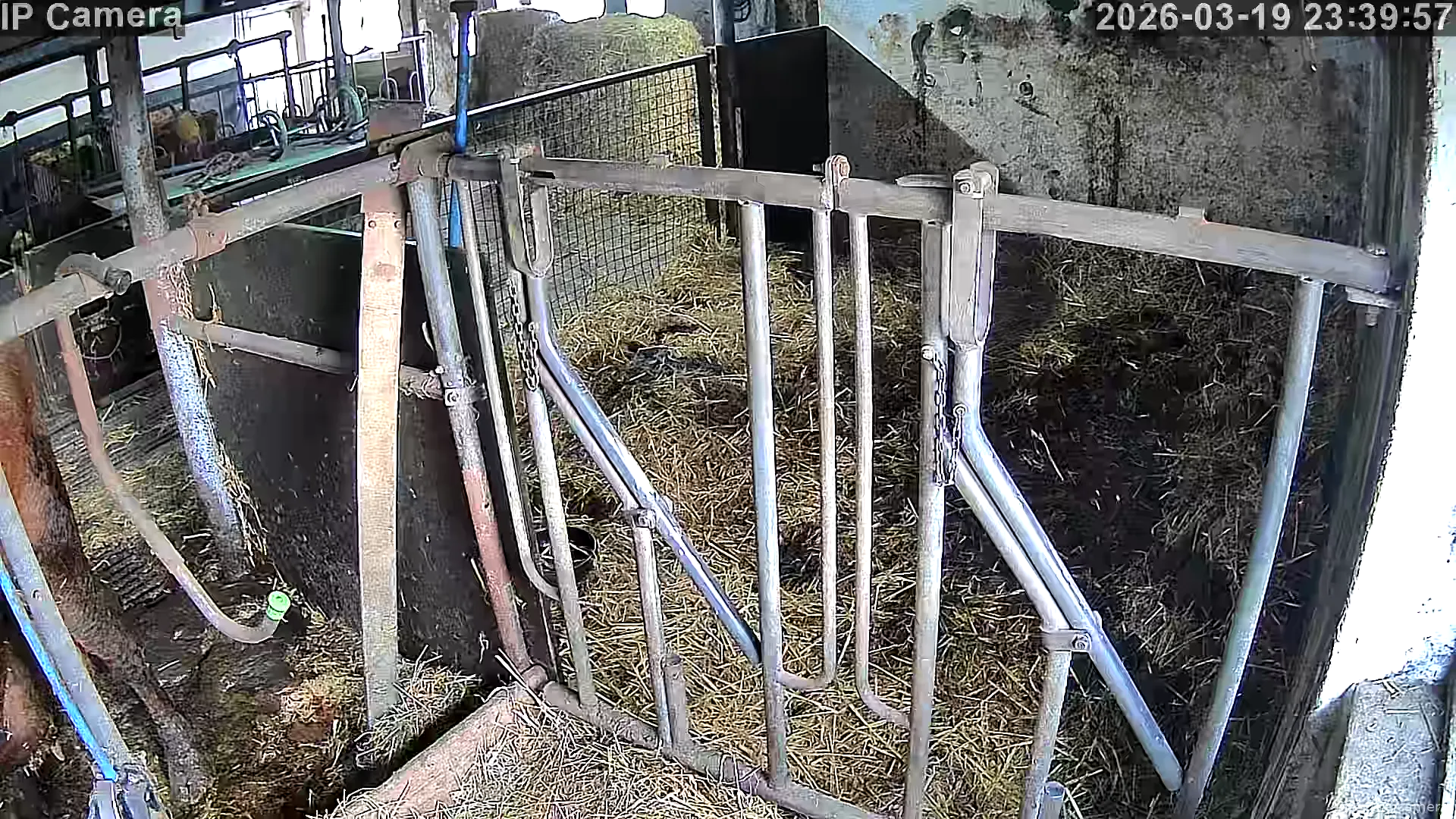 Capture from Mar 19, 2026 at 03:40 PM