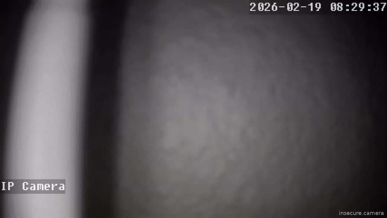 Capture from Feb 19, 2026 at 12:29 AM