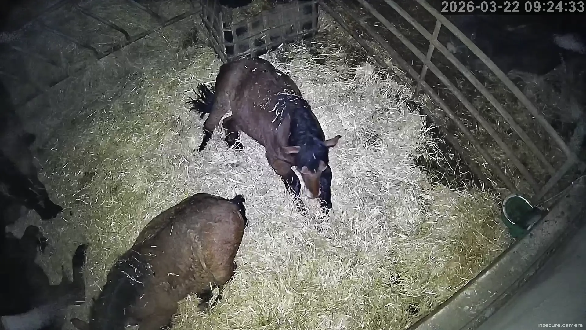 Capture from Mar 22, 2026 at 01:24 AM