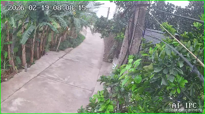 Camera in Vietnam