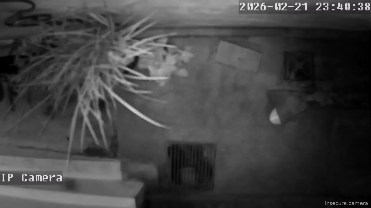 Capture from Feb 22, 2026 at 02:40 AM