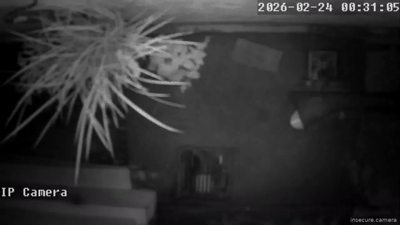 Capture from Feb 24, 2026 at 03:31 AM