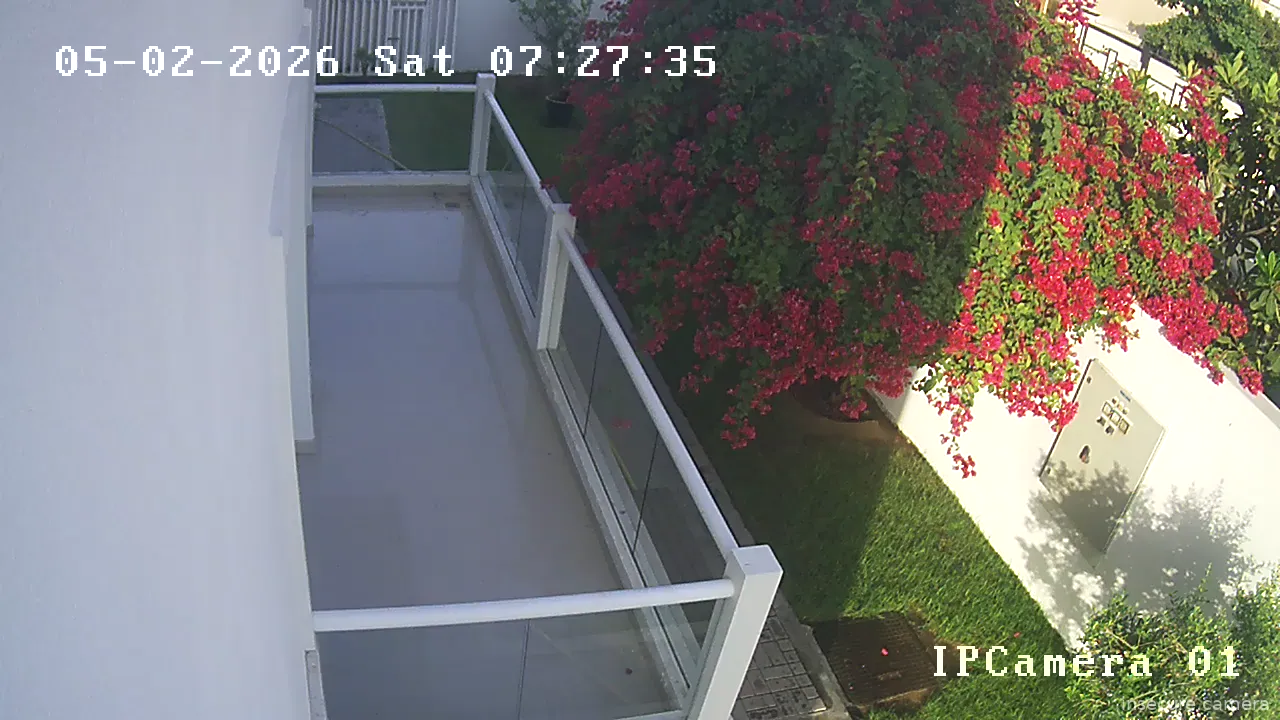 Camera in United Arab Emirates