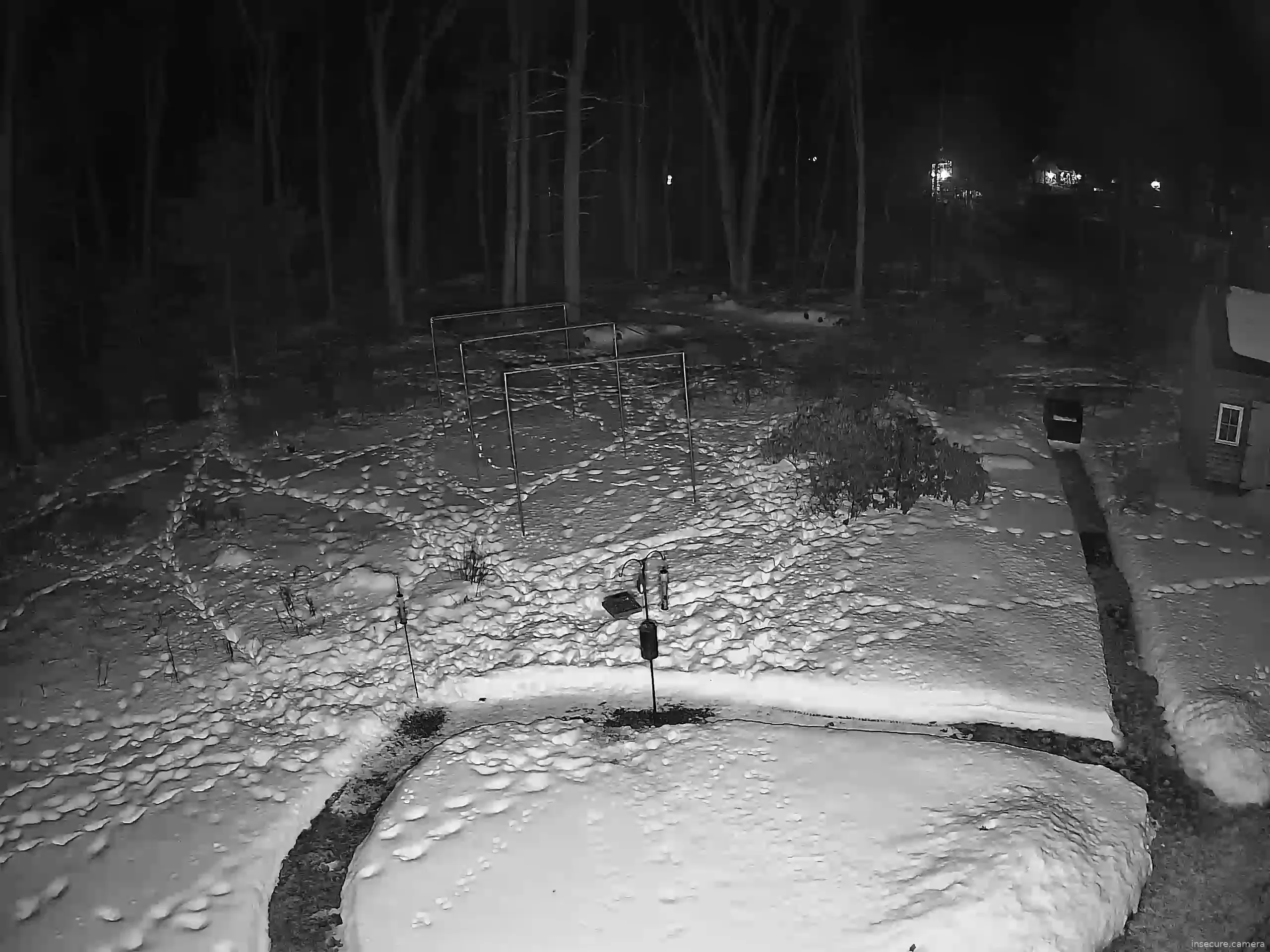 Capture from Feb 19, 2026 at 01:19 AM