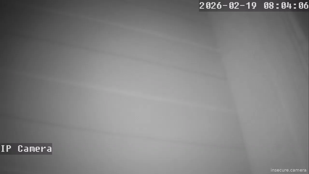 Capture from Feb 19, 2026 at 12:04 AM