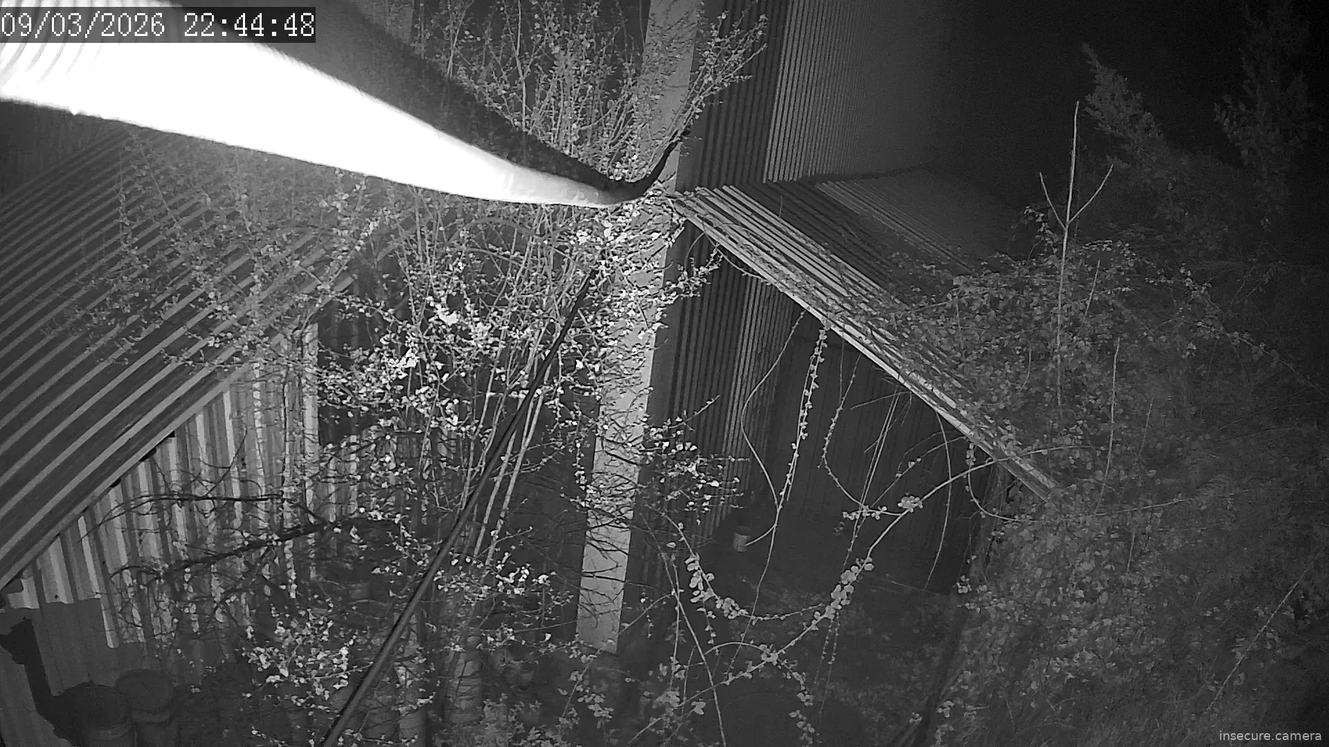 Capture from Mar 09, 2026 at 07:45 PM