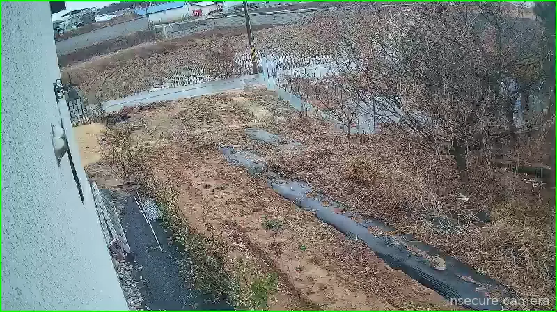 Camera in South Korea