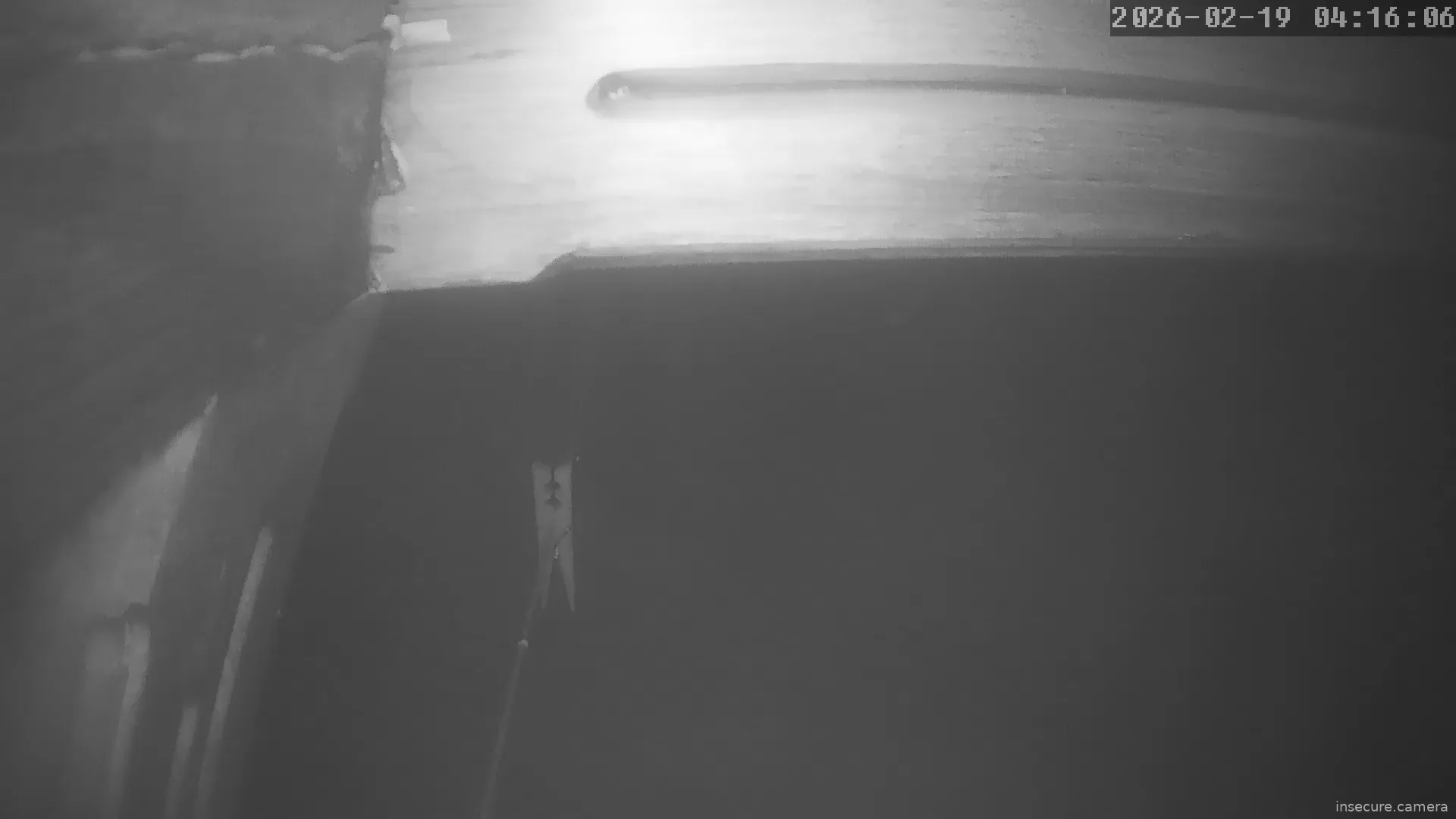 Capture from Feb 19, 2026 at 01:16 AM