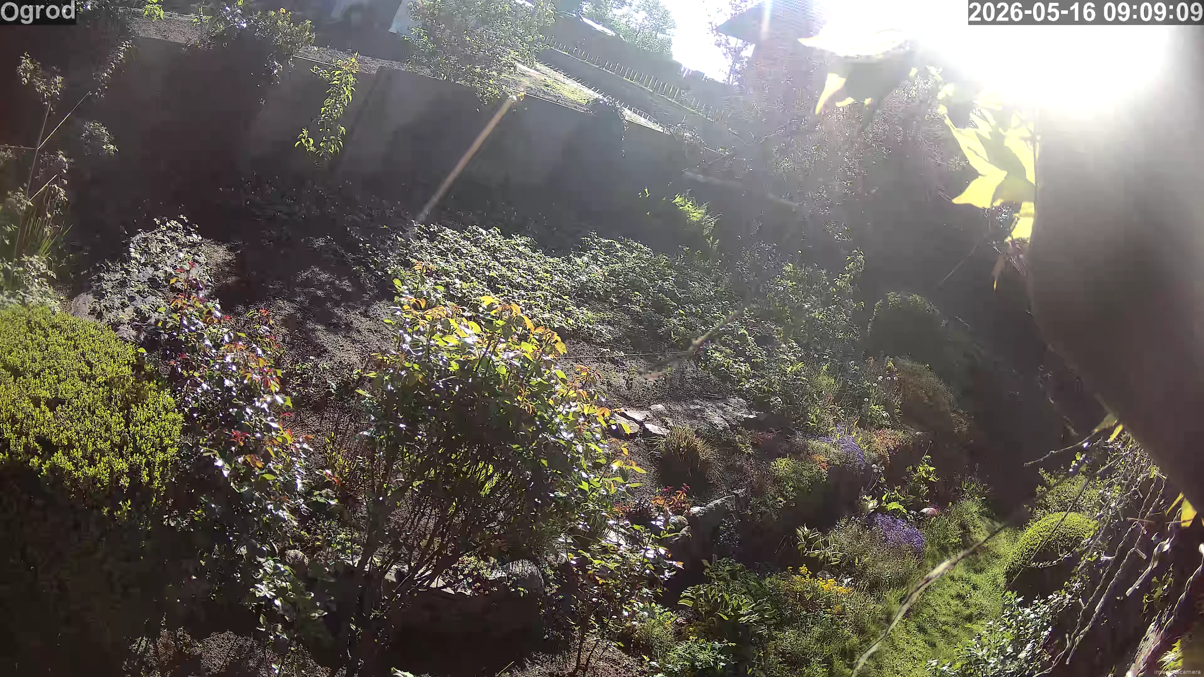 Capture from May 16, 2026 at 07:09 AM