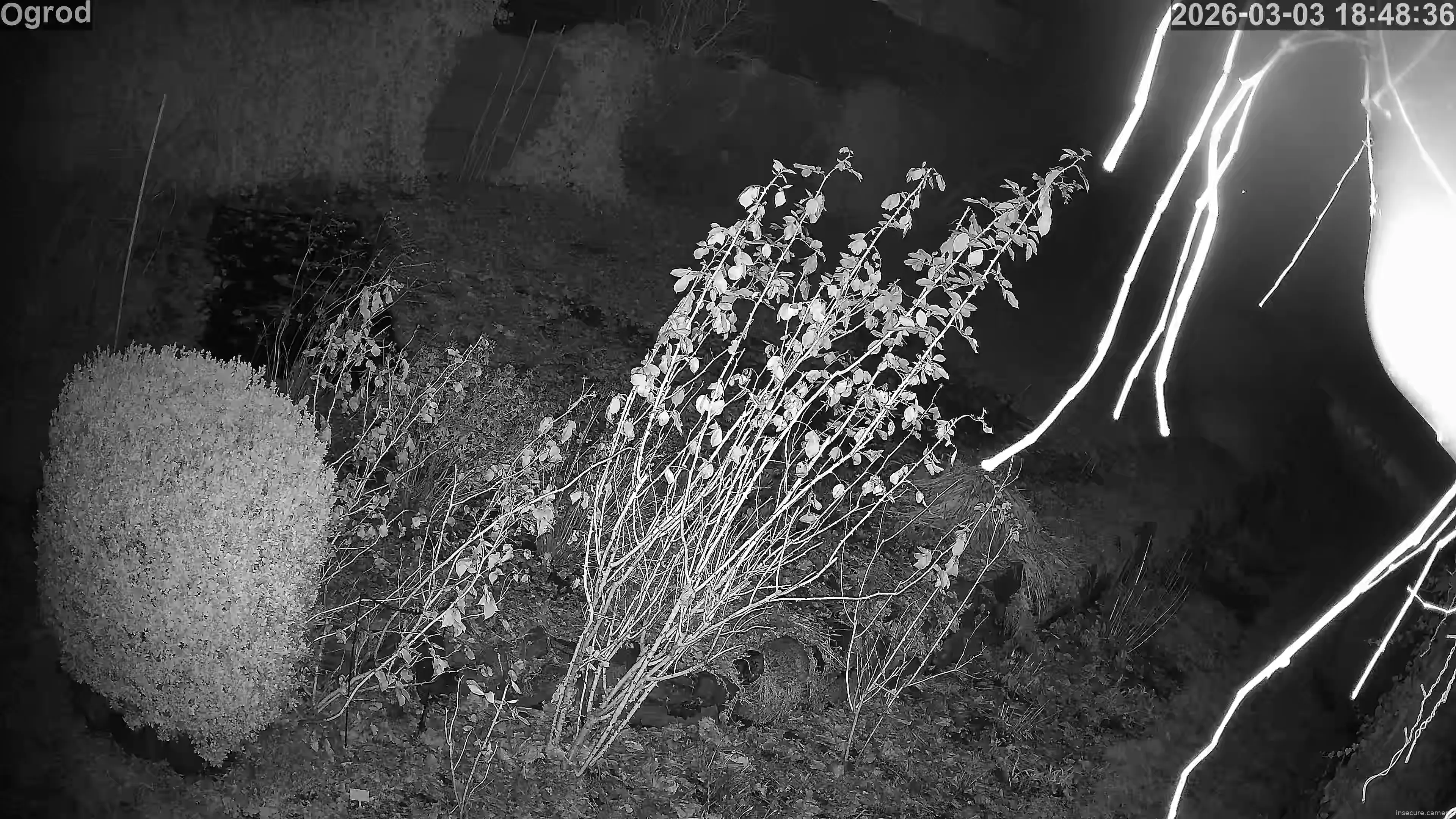 Capture from Mar 03, 2026 at 05:49 PM