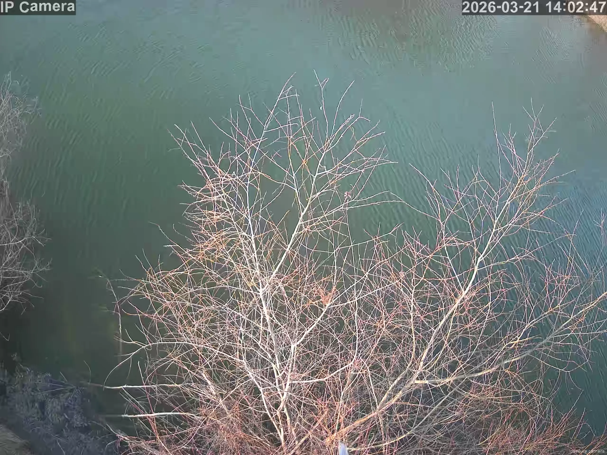 Capture from Mar 21, 2026 at 06:03 AM