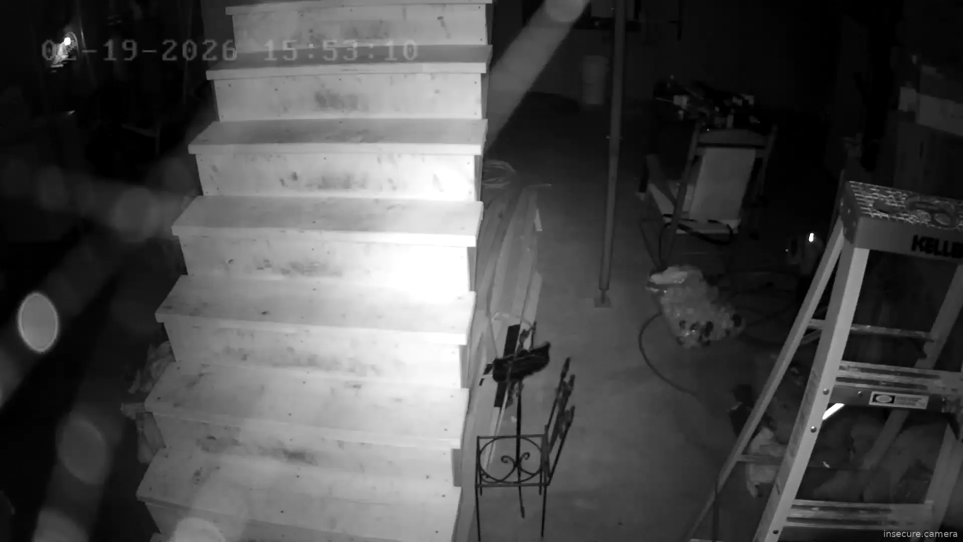 Capture from Feb 19, 2026 at 09:53 PM