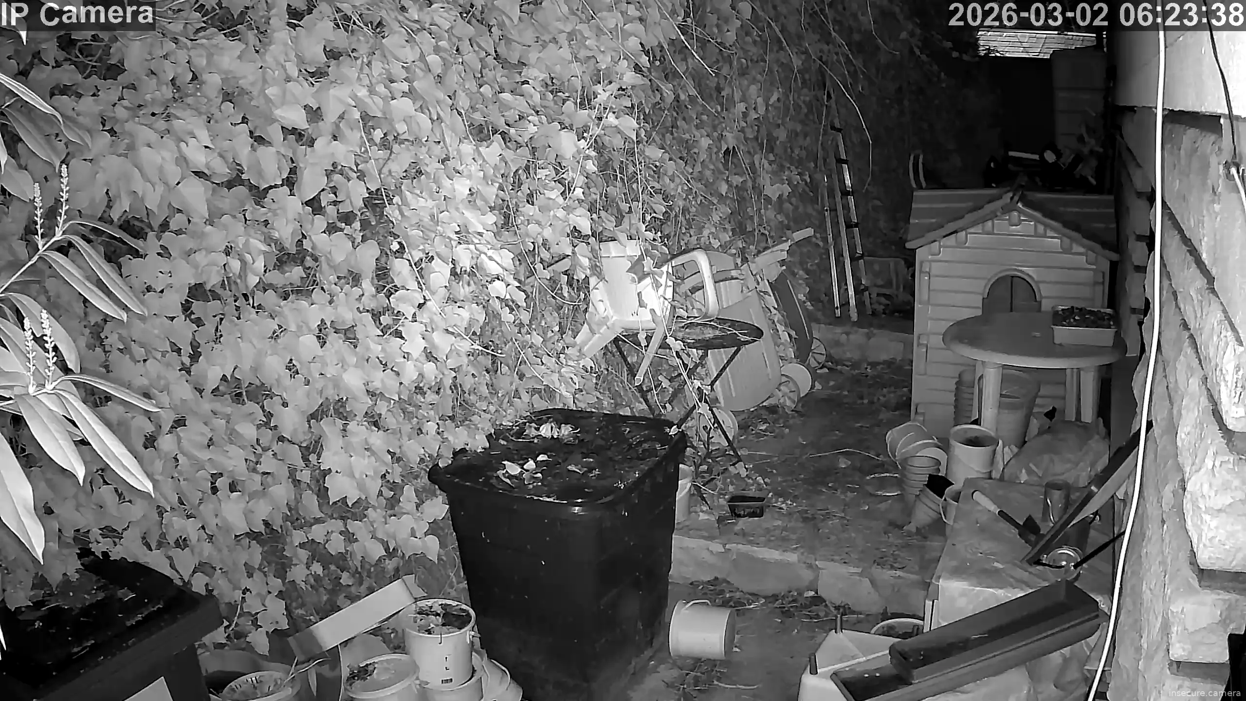 Capture from Mar 01, 2026 at 10:24 PM