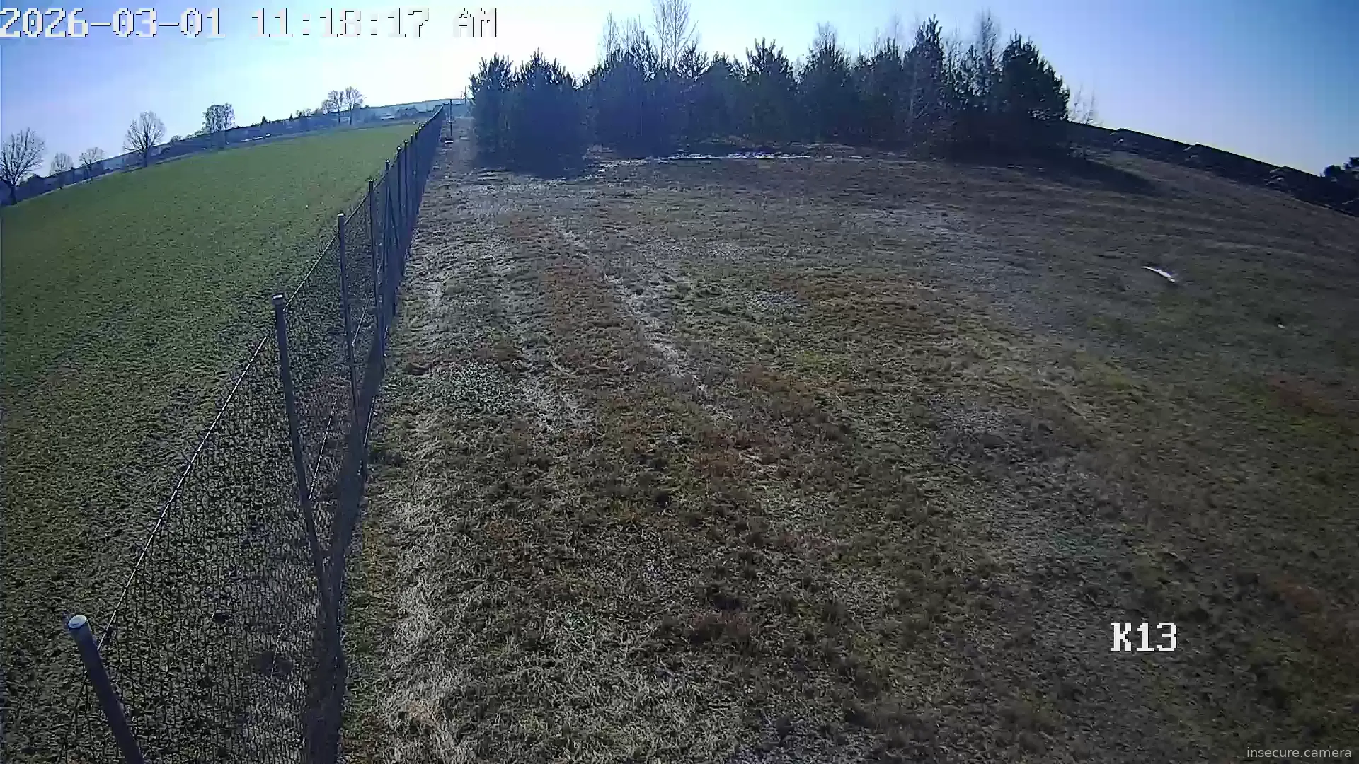 Capture from Mar 01, 2026 at 10:18 AM