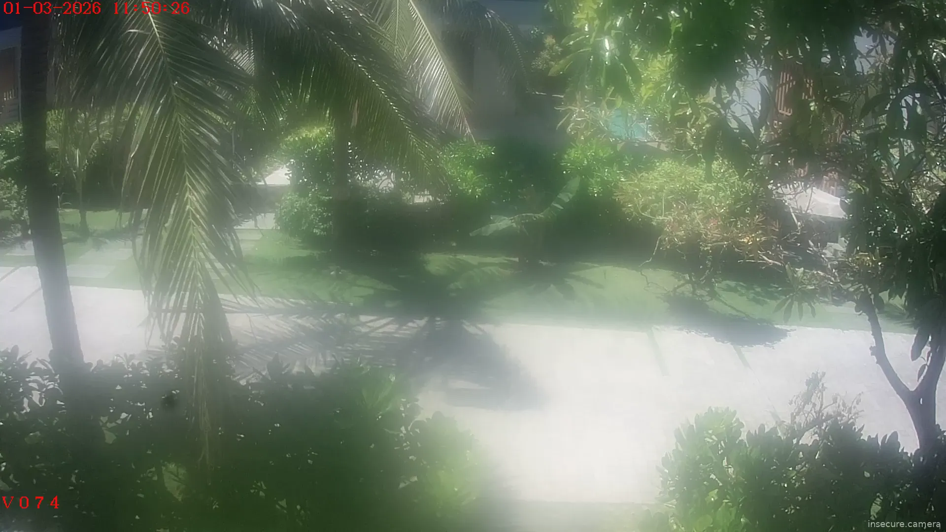 Capture from Mar 01, 2026 at 04:50 AM