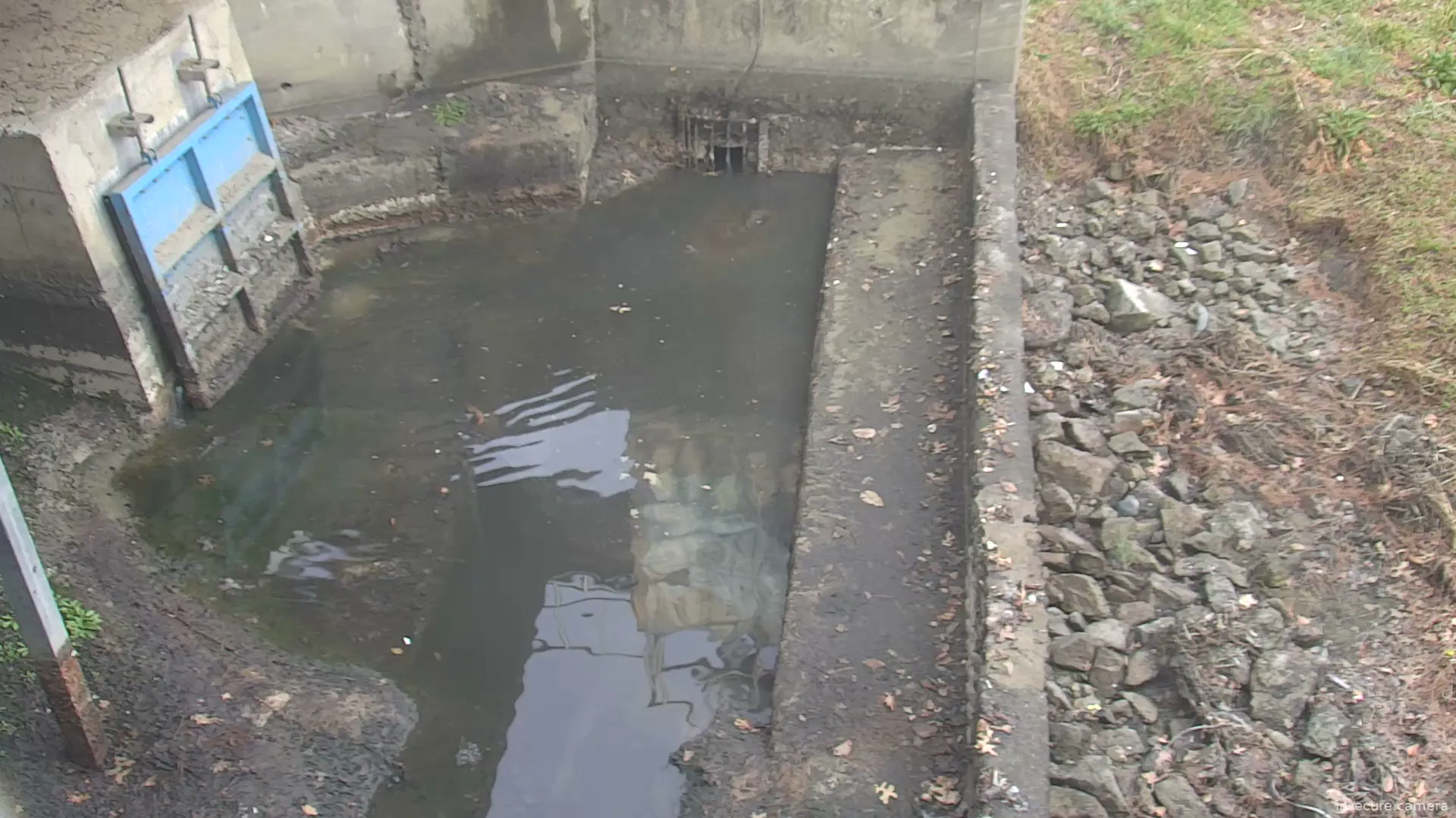 Camera in South Korea