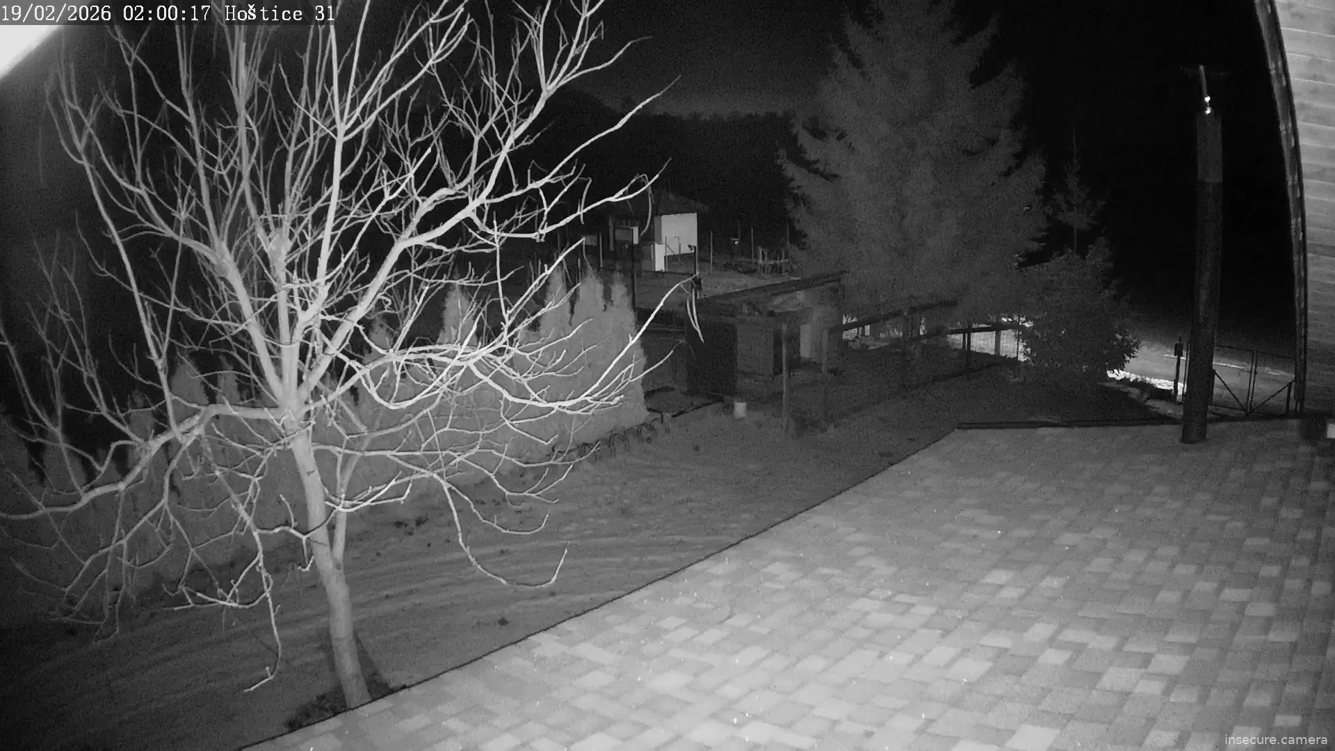 Capture from Feb 19, 2026 at 01:03 AM