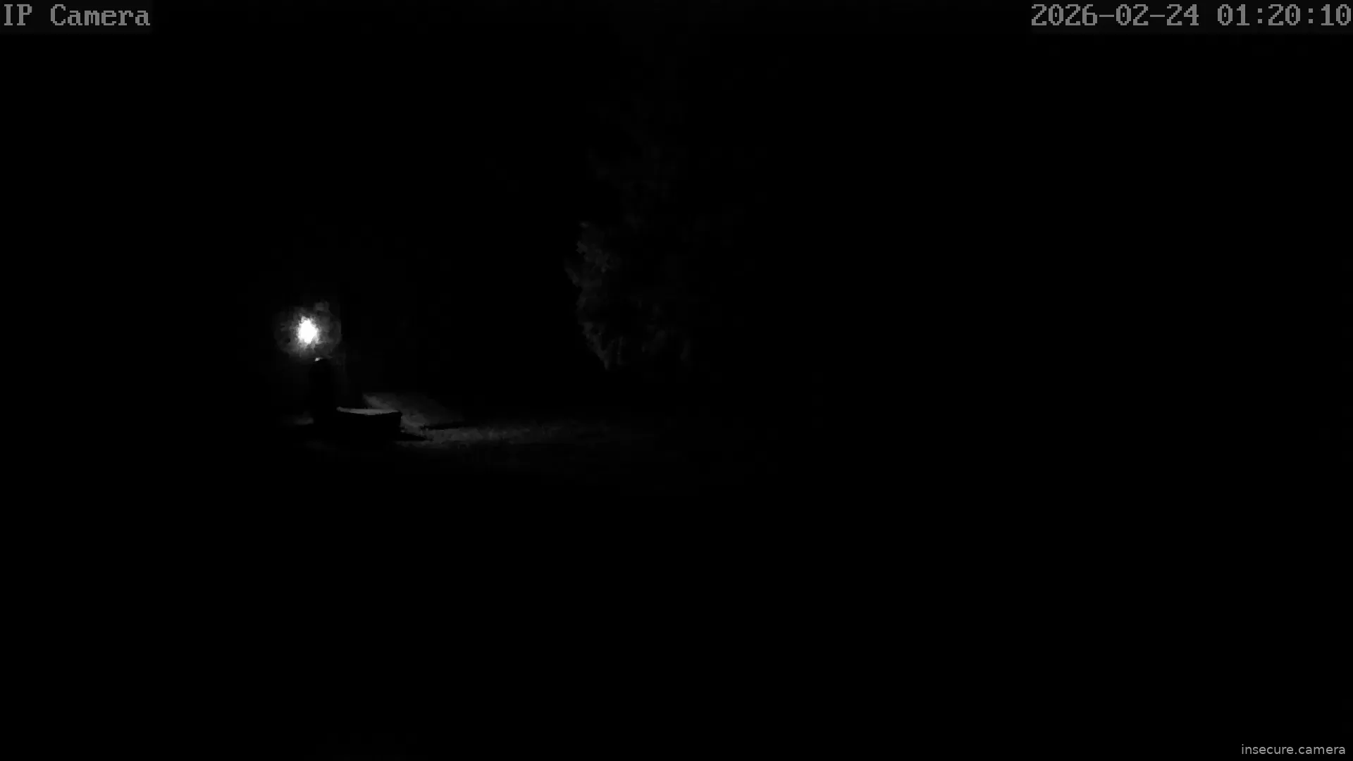 Capture from Feb 24, 2026 at 07:20 AM