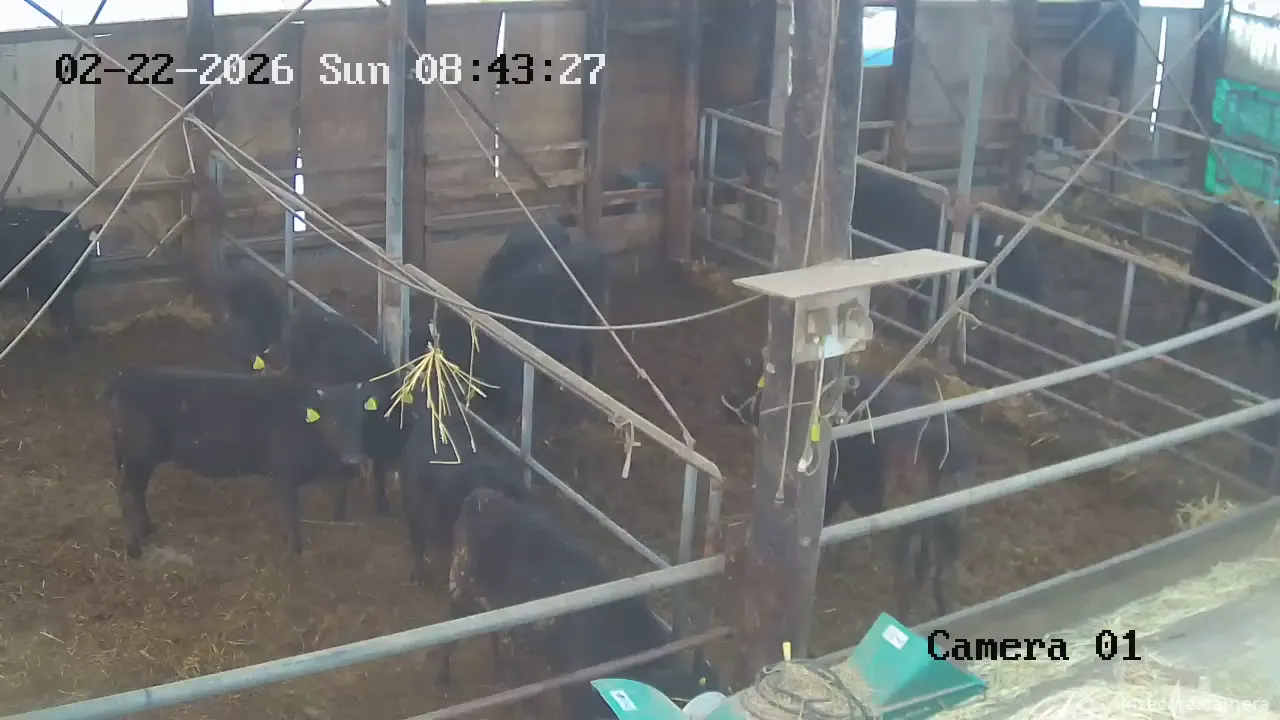 Capture from Feb 21, 2026 at 09:30 PM