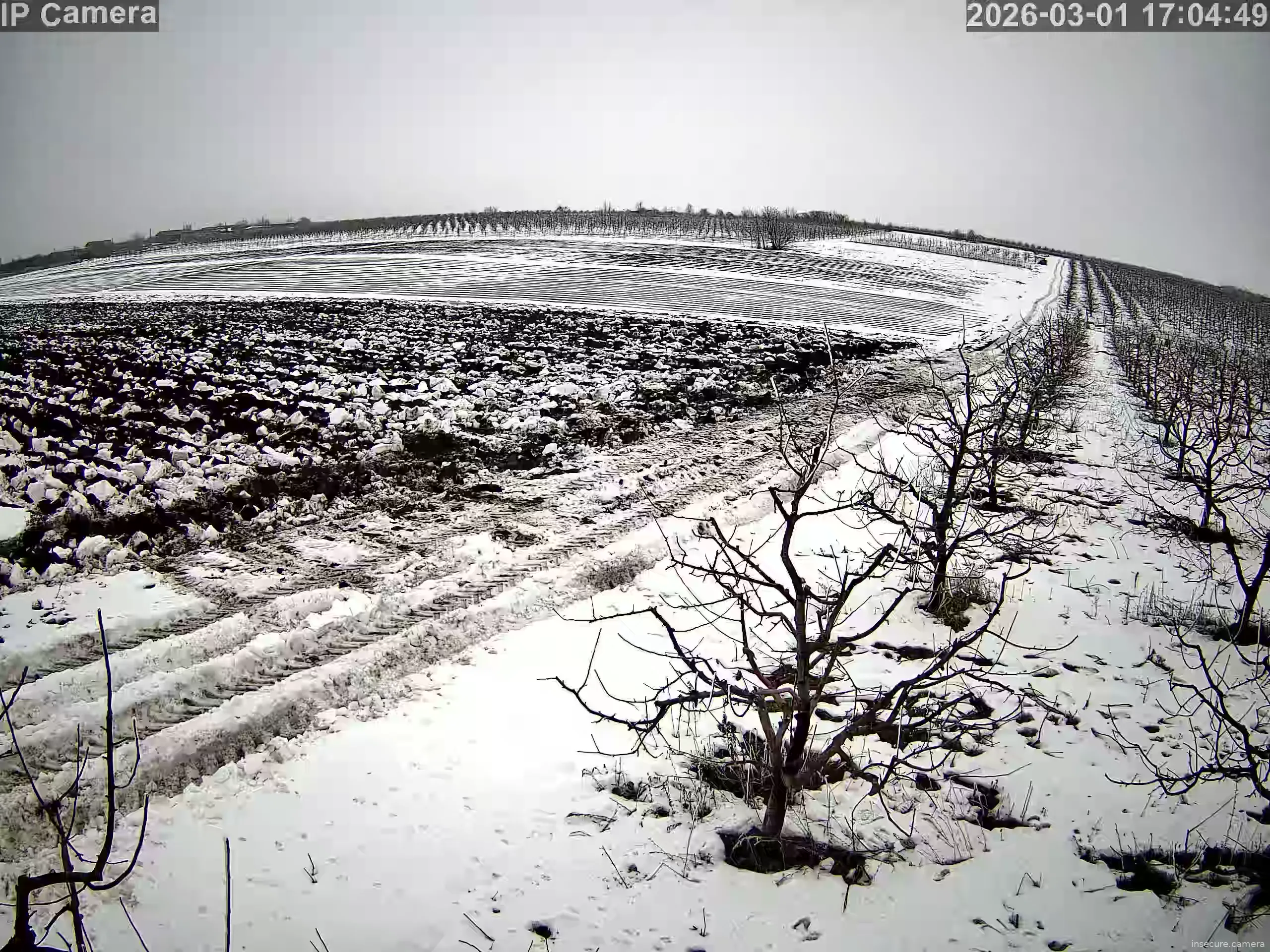 Capture from Mar 01, 2026 at 02:05 PM