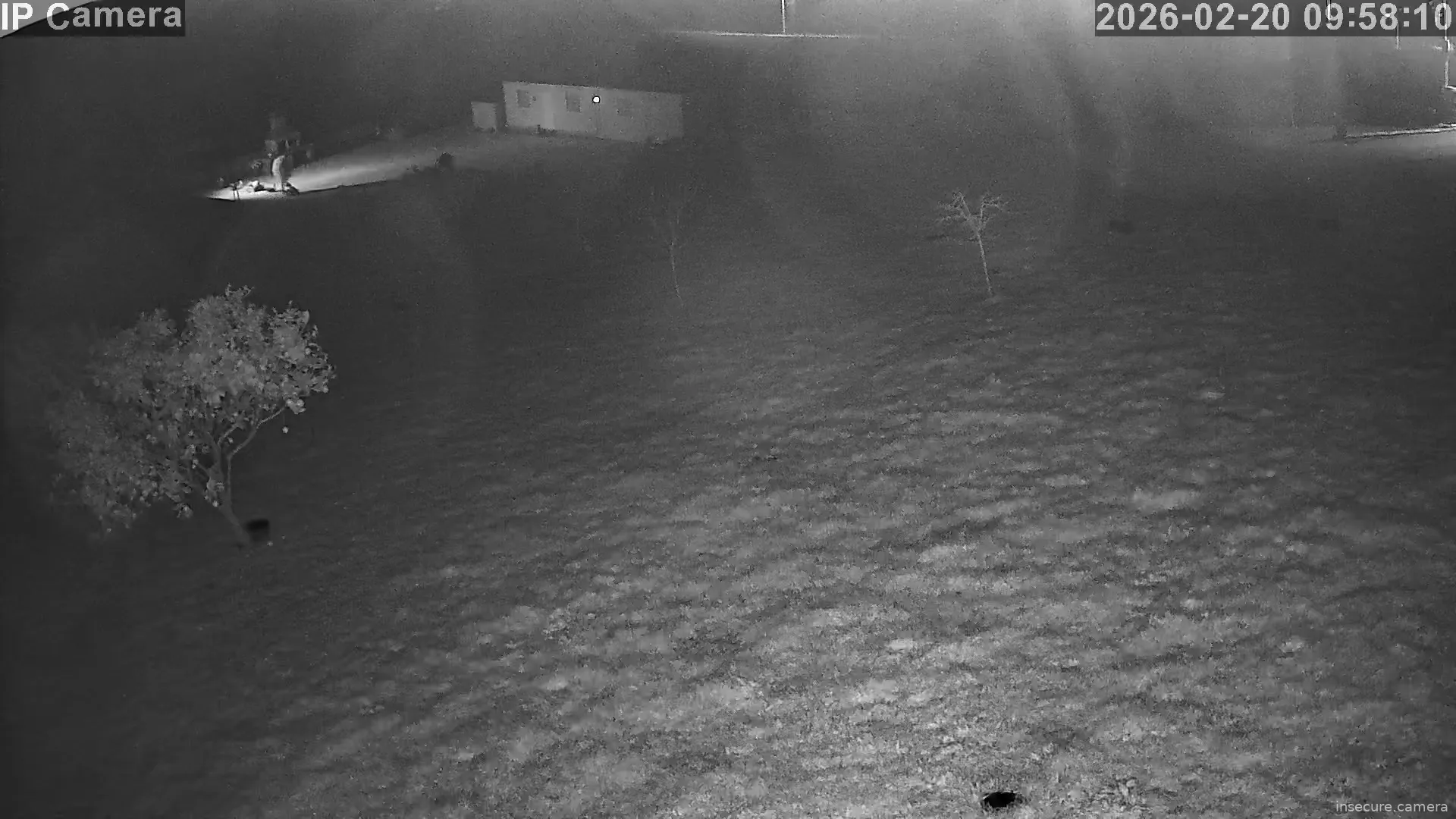 Capture from Feb 20, 2026 at 01:58 AM