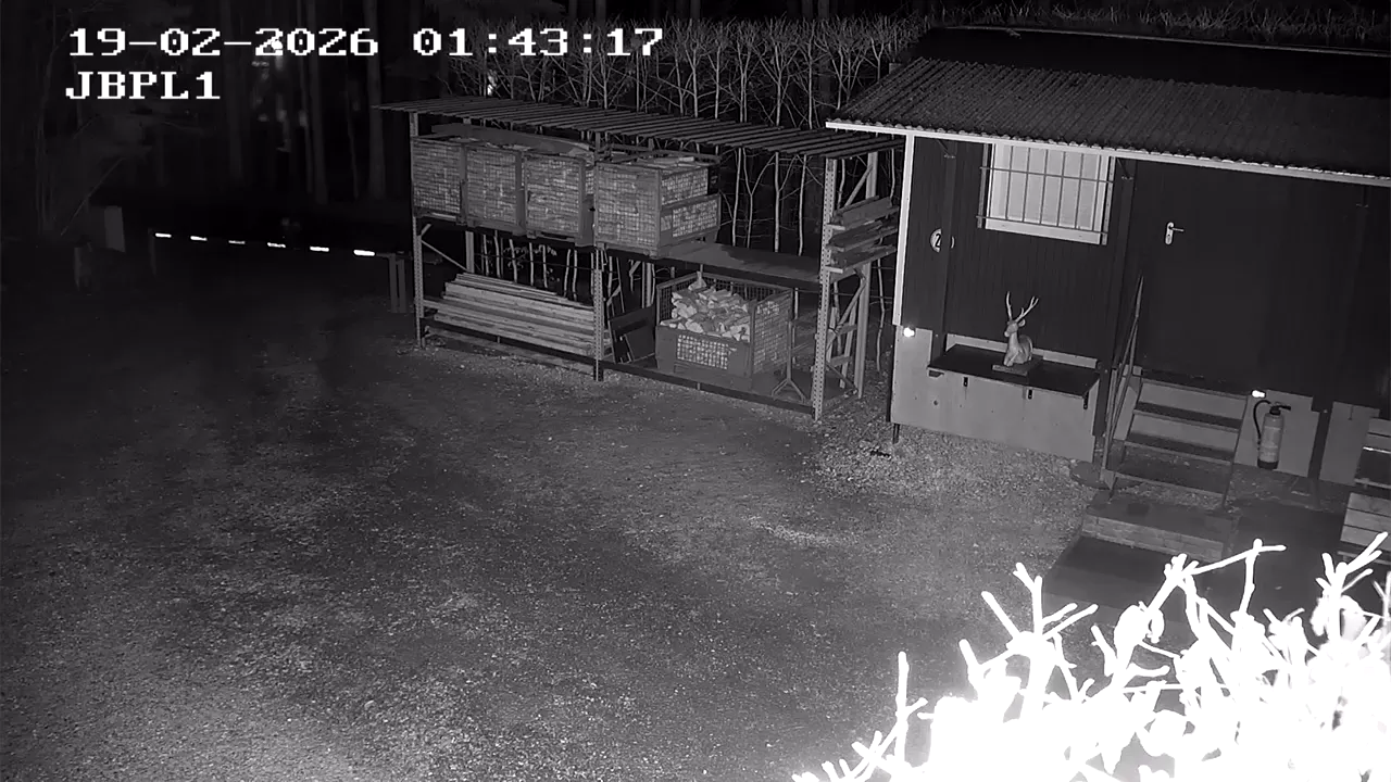 Capture from Feb 19, 2026 at 12:43 AM