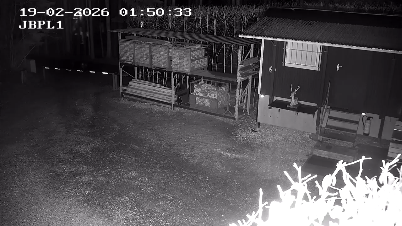 Capture from Feb 19, 2026 at 12:51 AM