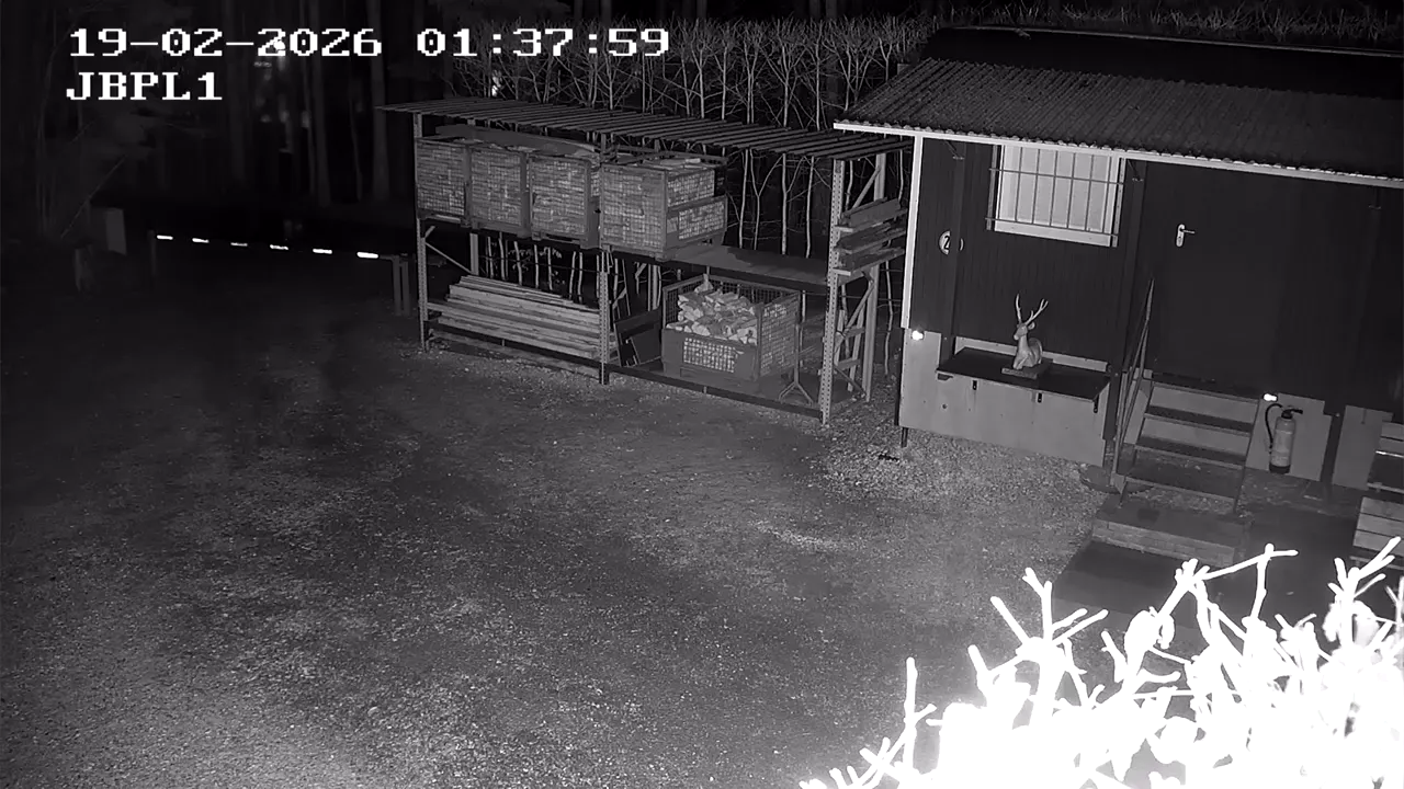 Capture from Feb 19, 2026 at 12:38 AM